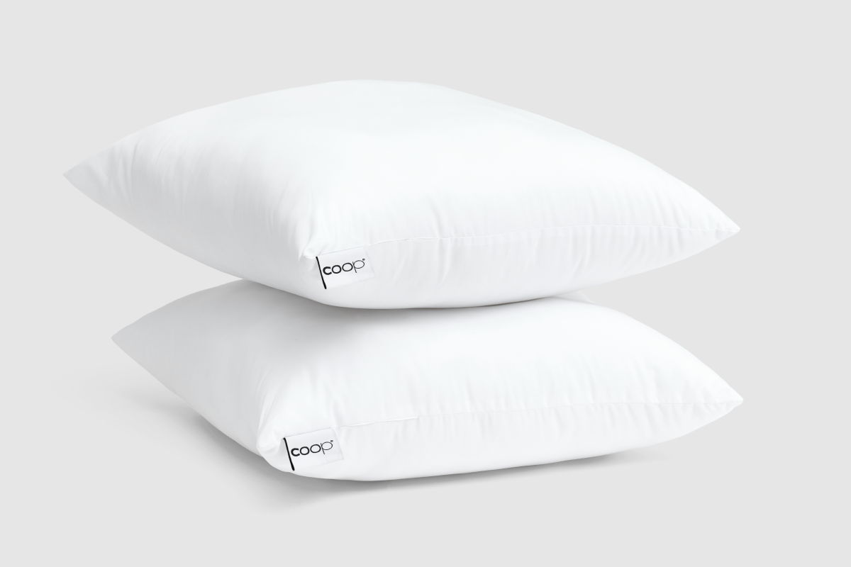 Essence Throw Pillow Inserts (2 Pack)